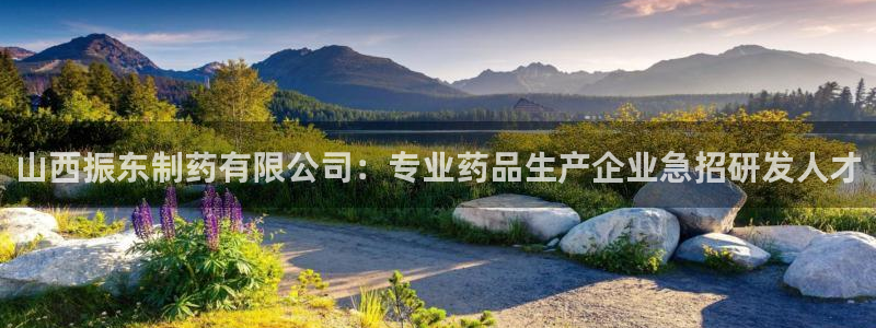 九游会老哥俱乐部：山西振东制药有限公司：专业药品生产企业急招研发人才