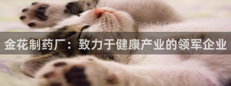 九游老哥俱乐部官网登录入口：金花制药厂：致力于健康产业的领军企业