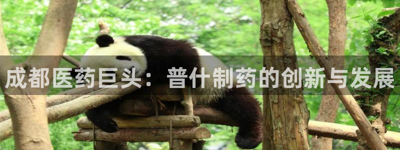 9游会老哥：成都医药巨头：普什制药的创新与发展