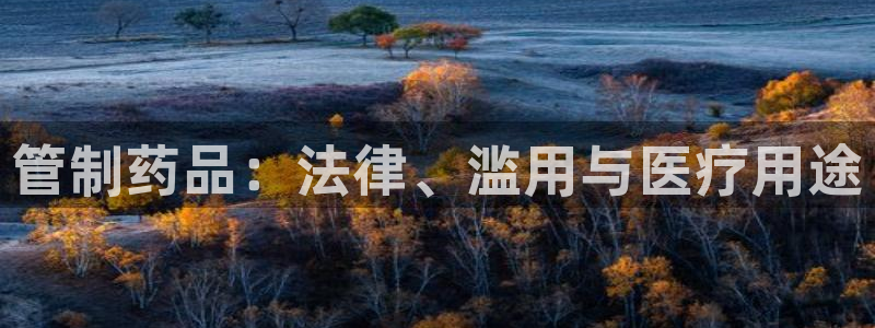 老哥吧九游会下架吗：管制药品：法律、滥用与医疗用途