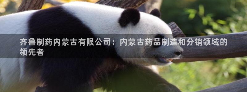 9游会老哥俱乐部：齐鲁制药内蒙古有限公司：内蒙古药品制造和分销领域的
领先者
