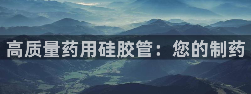 usdt九游会老哥俱乐部：高质量药用硅胶管：您的制药