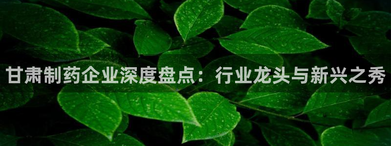 j9九游会老哥俱乐部交流区：甘肃制药企业深度盘点：行业龙头与新兴之秀