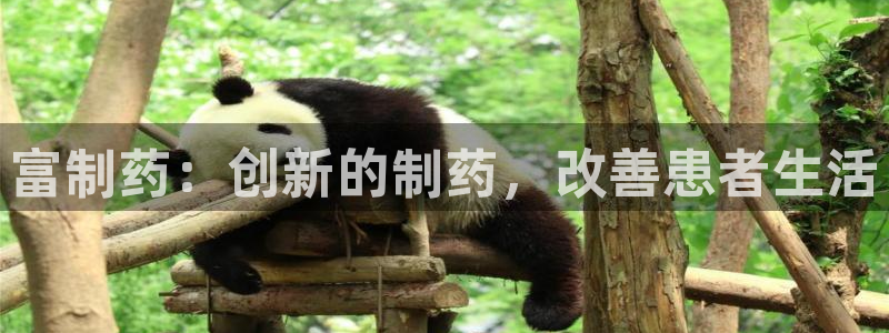 九游会老哥俱乐部必备的交流社区论坛：富制药：创新的制药，改善患者生活
