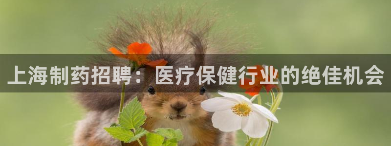 九游会老哥必备的交流社区九：上海制药招聘：医疗保健行业的绝佳机会