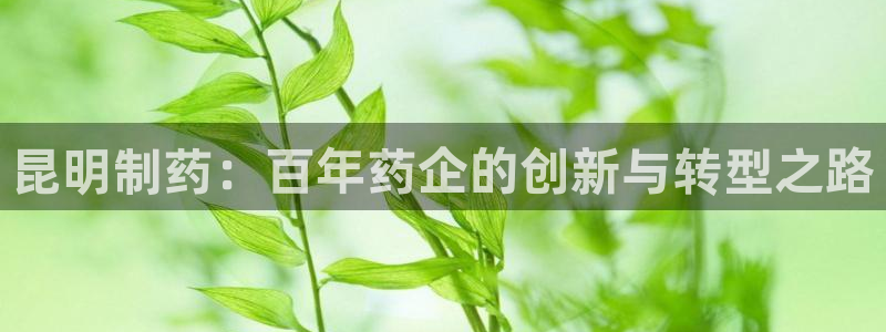 ag九游会老哥
