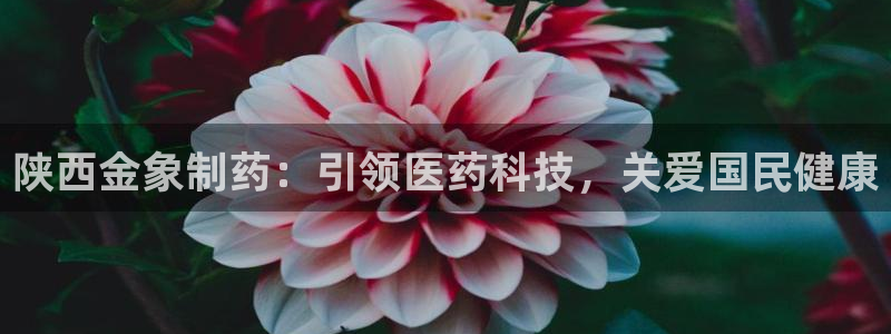 九游会老哥俱乐部交流社区