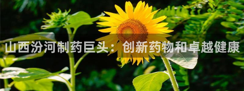 九游会老哥俱乐部官网首页