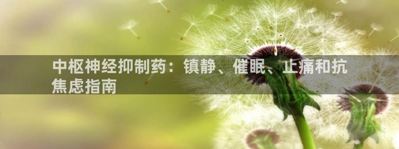 9游会老哥